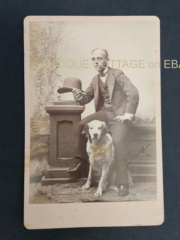 1890s antique CABINET PHOTO hunting DOG & YOUNG MAN bowler hat studio portrait
