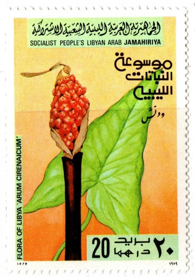 LIBYA 1979 FLOWERS SIX STAMPS SET MNH - Image 4 of 4