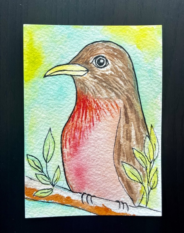 ACEO Original Watercolor Painting “Robin” by Connie Kline 2.5x3.5”
