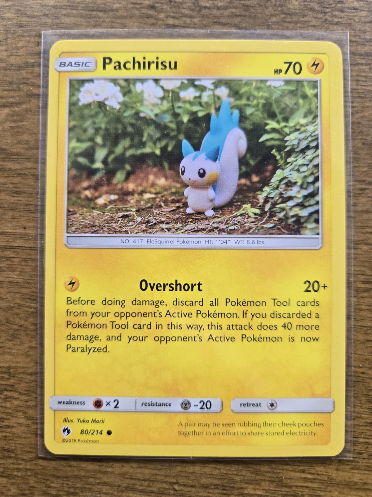 Pokemon Pachirisu - Normal Common - Lost Thunder 80/214 Yuka Morii