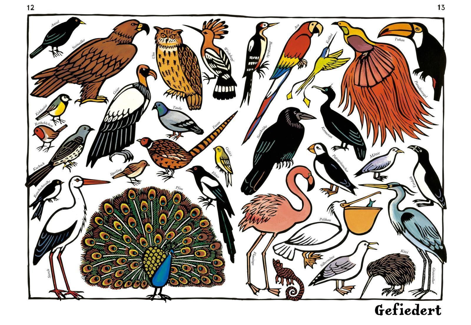 Thumbnail - Joëlle Jolivet Zoo-ologie 9783848902378