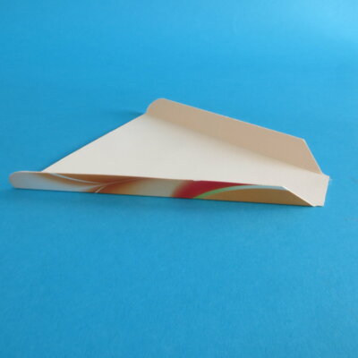 250 Pizza to go Slice Pizzaecken Pizzapappen Pappteller für Pizzastück 17x18cm