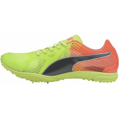 puma evospeed weight