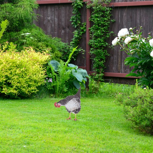 Simulated Hen Decoration Decorative Garden Stakes Chicken for Yard Outdoor - Picture 5 of 12