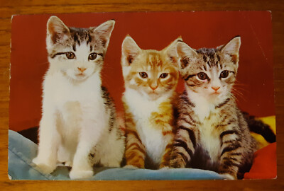 The 3 Three Little Kittens postcard used posted 1976