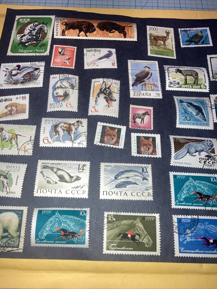 41 Intl. 动物/鱼/鸟类邮票 1965 - 1981 年。 全新无标签/已取消。 $1 船。 优惠! — 第 4/4 张图片