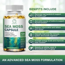 Natural Sea Moss RAW | 100% Wildcrafted Irish Seamoss Superfood | Organic Vegan