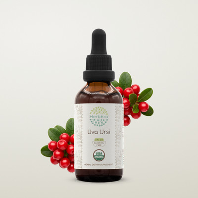 HerbEra Uva-Ursi Alcohol-FREE Herbal Extract Tincture (Arctostaphylos uva-ursi)