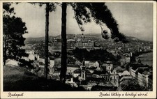 View of Buda Budapest Royal Castle vintage postcard s463