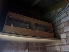 Bird Breeding Cage. 2 Door 2 Flaps. 26” x 15” x 12” Fully Framed. Hardwood Ply.