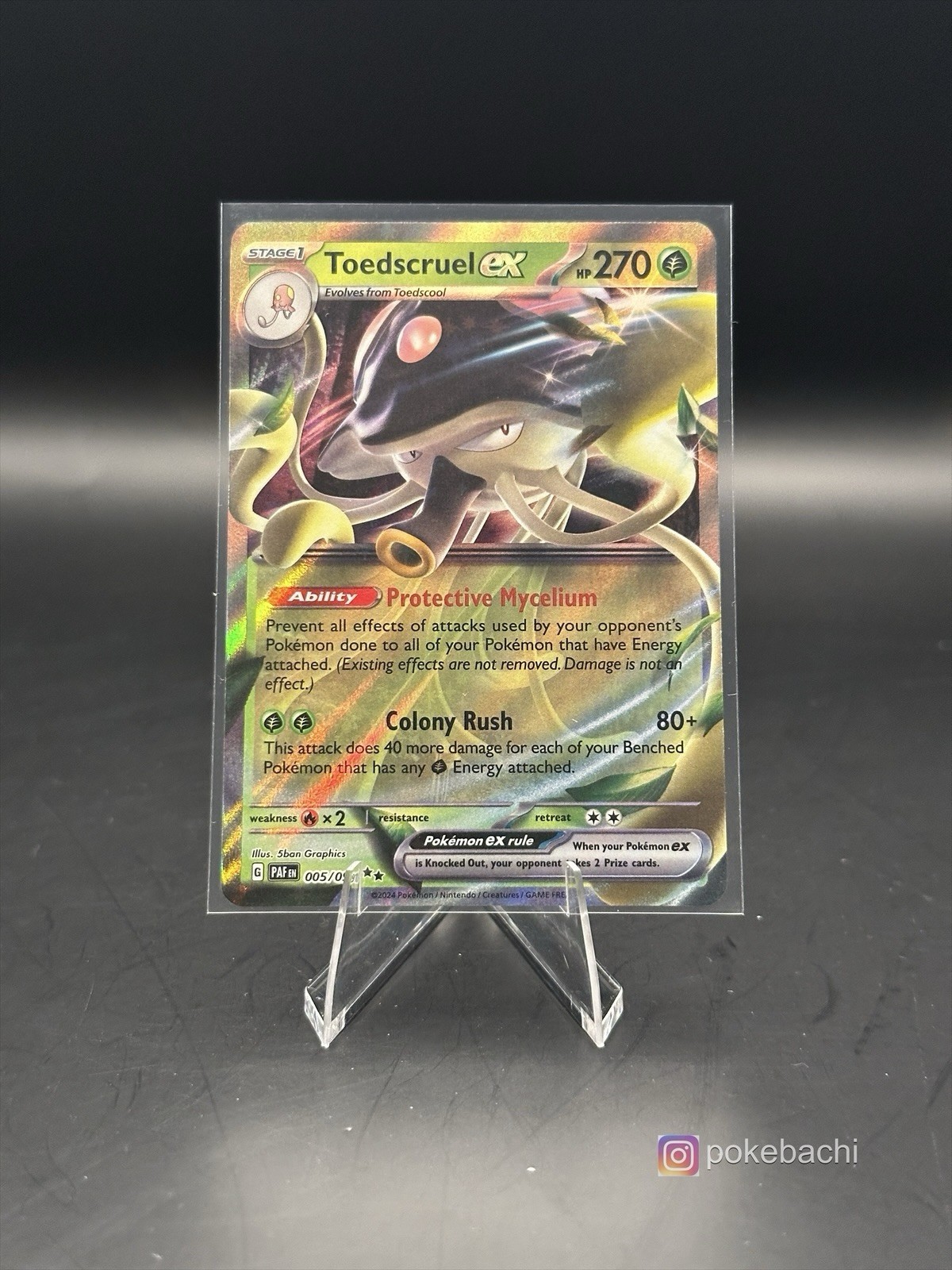 Toedscruel ex 005/091 Double Rare Holo - Pokemon TCG - Paldean Fates - NM