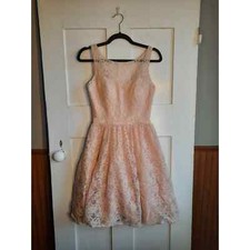 MORI LEE Pink Blush Lace Illusion Neck Fit & Flare Formal Dress sz4