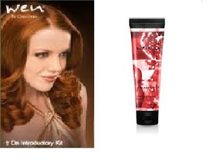 Wen By Chaz Dean Pomegranate Finishing Treatment Creme Cream 2 Fl