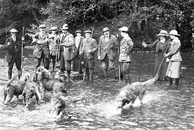 Jvf-19 Carlisle Otter Hounds, Cumberland, Cumbria. Foto