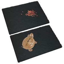 Reptile Basking Platform Tortoise Feeding Dish Natural Rock Food Bowl Landsca...