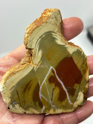 Royal Imperial Jasper Slab Cabbing Collecting Mexican Combo Ship Avail