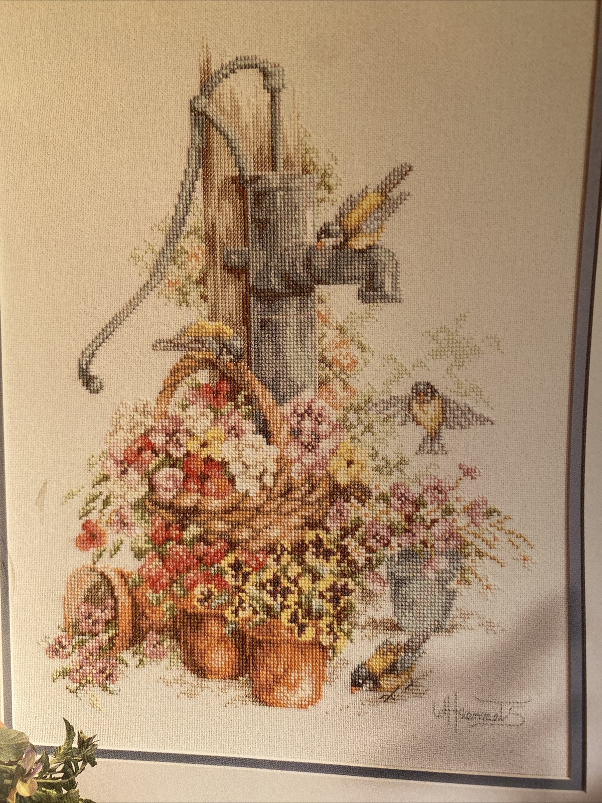 Picture 4 of 6