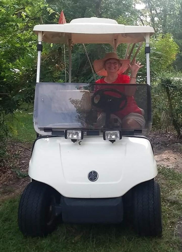 YAMAHA G22 GOLFCART ROOF MOUNT STEREO RADIO SYSTEM ZEPPTUNE MARINE