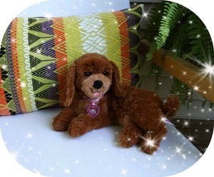 puppy surprise magic mommy