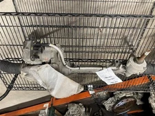 2017-2018 Ford Explorer Steering Gear Rack & Pinion W/o Turbo 2.3L  3.5L