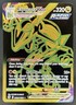 2022 Pokemon SWSH Silver Tempest Rayquaza VM Trainer Gallery #TG29/TG30