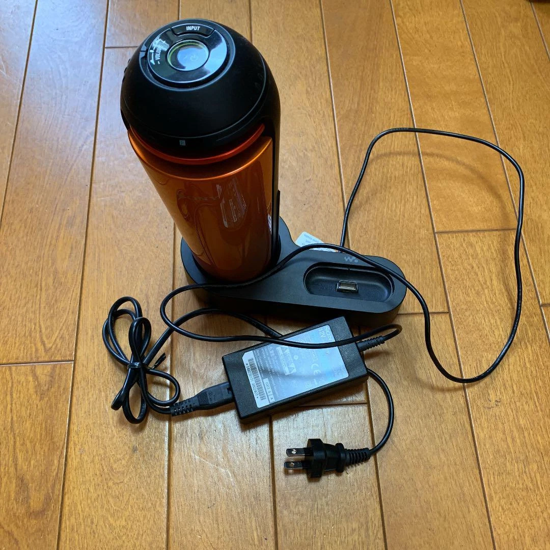 SONY RDP-NWV500 Walkman Dock Speaker from JAPAN