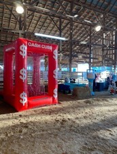 CASH CUBE Money Machine Game-Bounce House