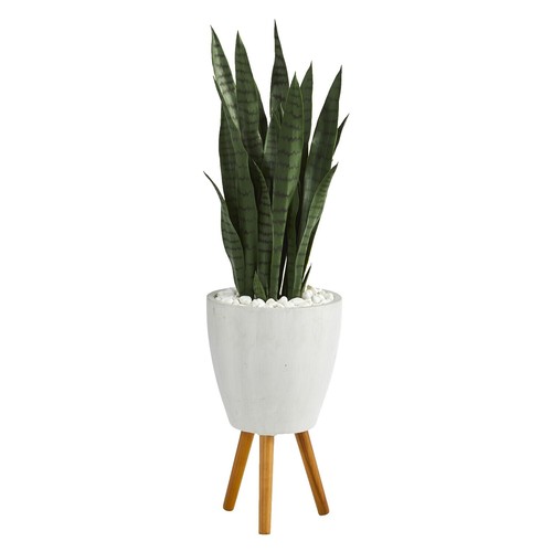 buy philodendron monstera Monstera Plant, Split Leaf Philodendron For Sale & Care Tips Medium / Eco Pot / Earl Grey