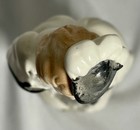 Foto 5 di 6