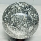 Natural Insectconch fossil crystal Ball Quartz Crystal Sphere Reiki Healing2420G — photo 5