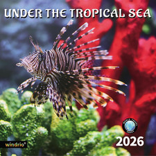 2026 Wall Calendar,Calendar 2026, November 2025 - December 2026, Wall Calendar U