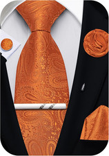 Ties for Men Paisley Silk Neck Tie and Pocket Square Cufflinks Tie Clip Lapel