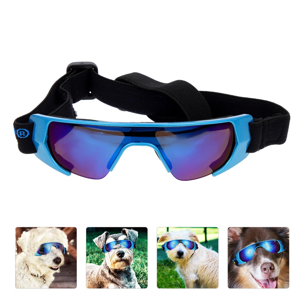 Motorcycle goggles for small dogs cheap