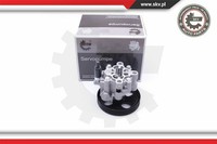 Esen Skv Servopumpe FüR Toyota Rav 4 Ii CLA2_ XA2_ ZCA2_ ACA2_ 10SKV287