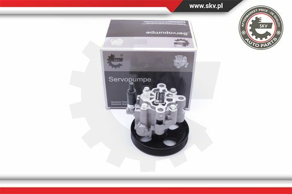 Esen Skv Servopumpe FüR Toyota Rav 4 Ii CLA2_ XA2_ ZCA2_ ACA2_ 10SKV287-image