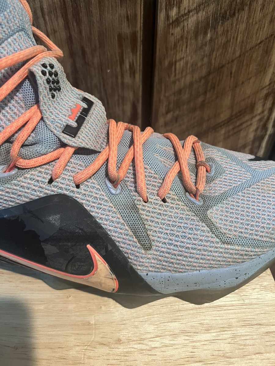 ナイキ Nike Lebron12 Easter 684593-488 29cm Nike LeBron 12 'Easter' 684593-488