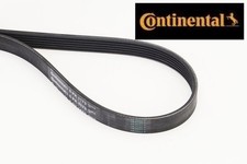 Continental CTAM 6PK1173 Keilrippenriemen Keilriemen