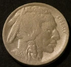 1920 D Buffalo Nickel Semi-Key Date Horn Details Holo-Restored Five 5c Coin D810