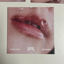 Seungmin Stray Kids Lip Photocard Album ATE Official Kpop