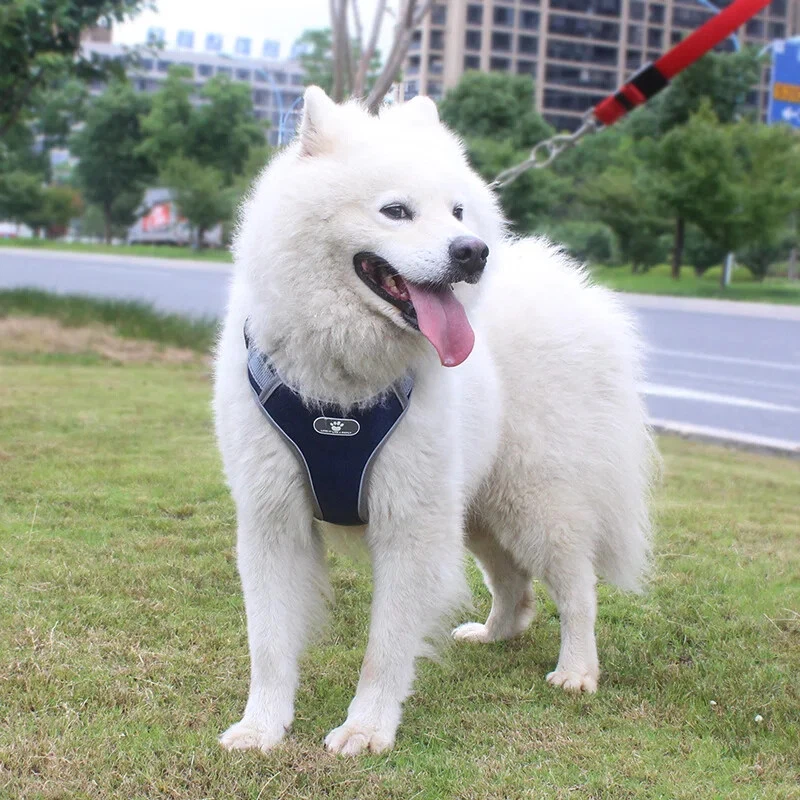 Dog Harness Vest Breathable Dog Training Reflective Nylon Pet Chest Strap New US