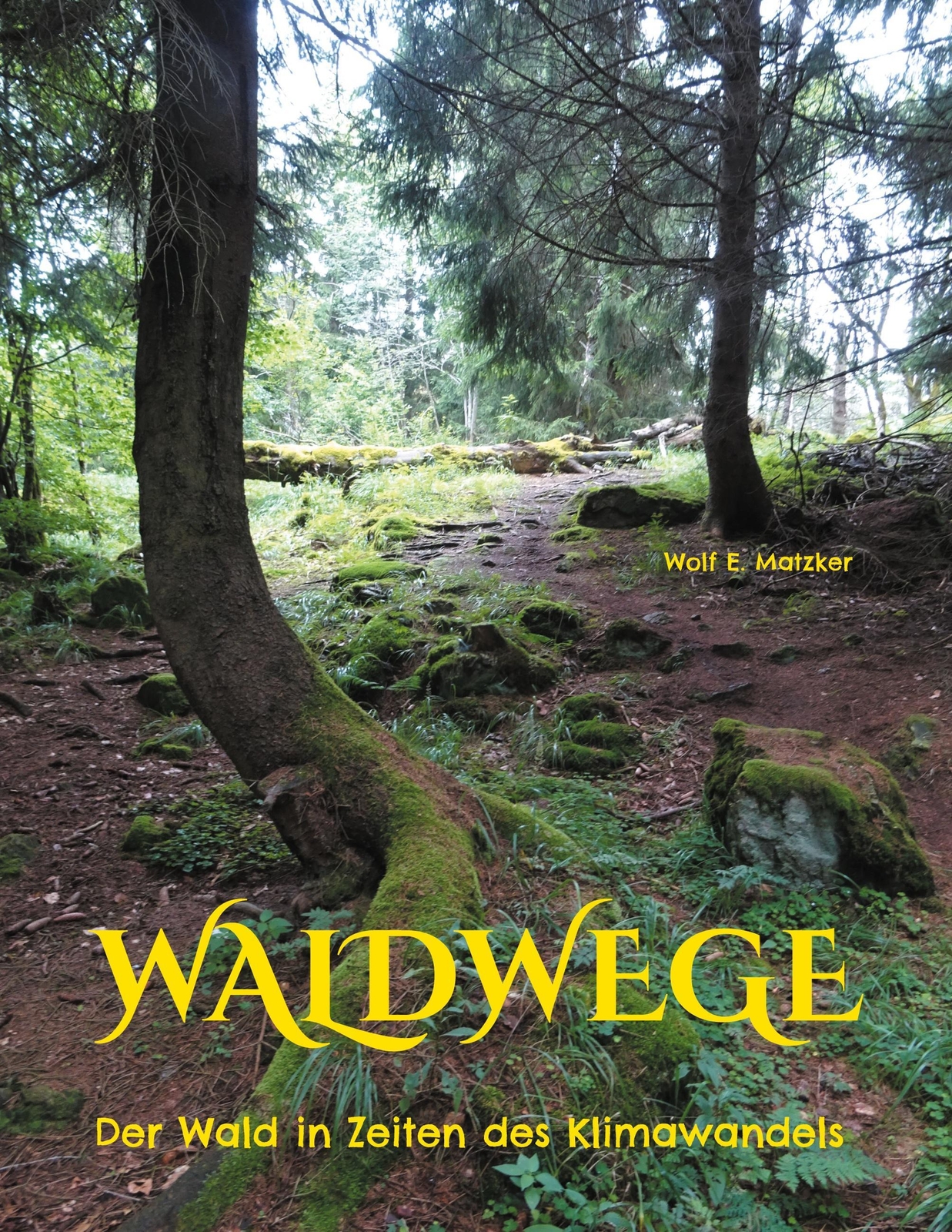Thumbnail - Waldwege - Wolf E. Matzker - 9783754331217