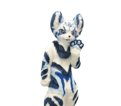 SpiritHoods 2015-2016 Collector display picture 2