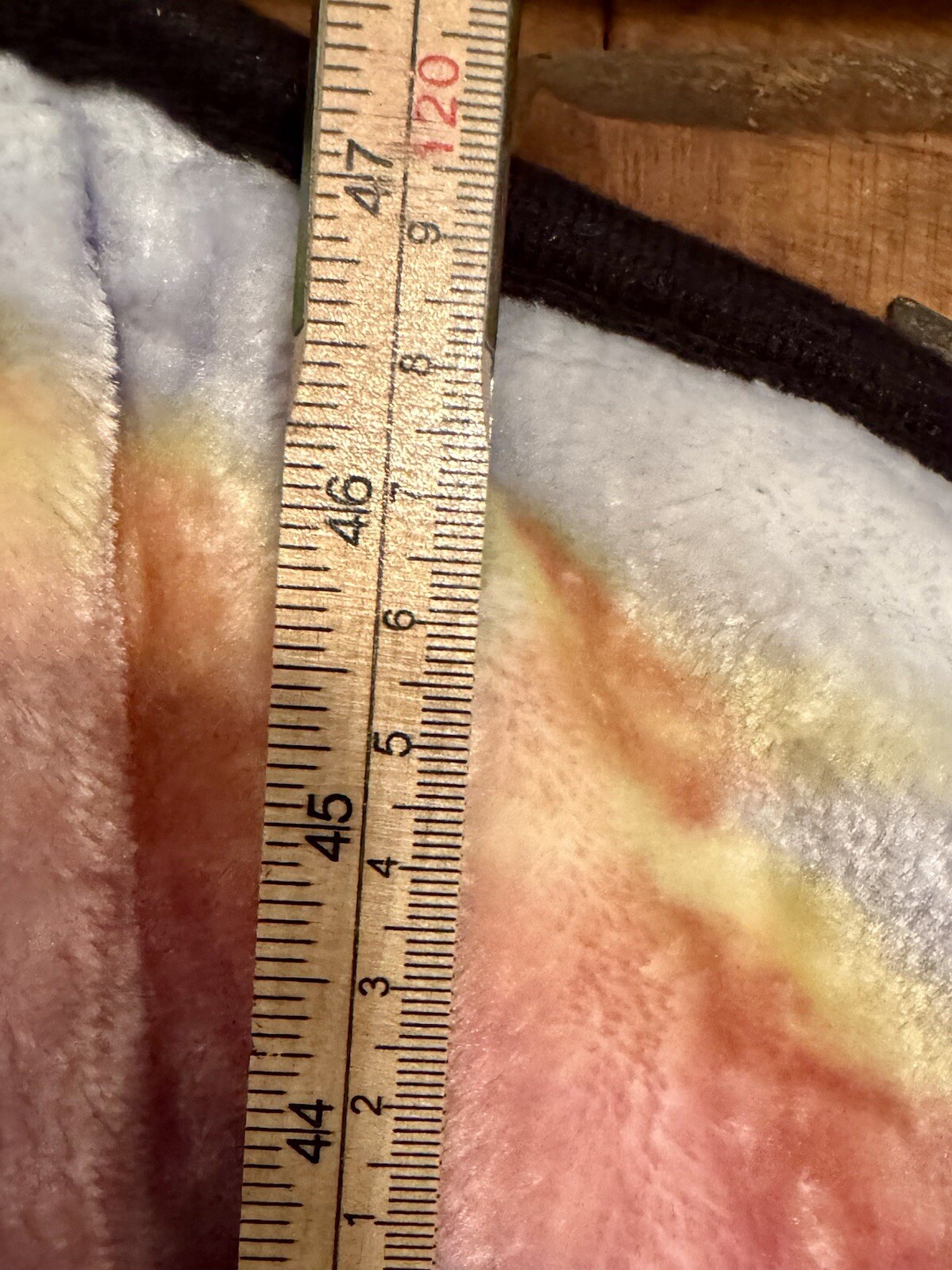 Picture 4 of 5