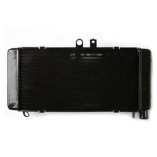 Adatto per Honda CB900/CB919F Hornet 900 2002-2007 Radiatore Motore Alluminio