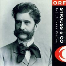 Strauss  CO Art of Brass Vienna von Art of Brass Vienna | CD | Zustand gut