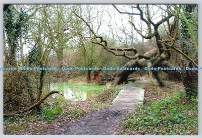 L359360 Kuhfelder Lincewood Langdon Hills Postkarte K F Porter