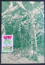 Carte Maximum Premier Jour Timbre Martinique N°1915 Oblitéré Fort De France 1977