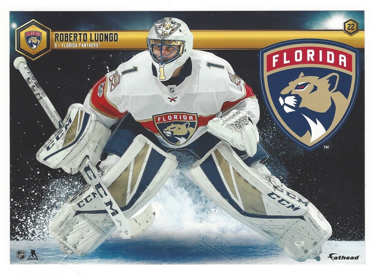 ROBERTO LUONGO FATHEAD TRADEABLES FLORIDA PANTHERS REMOVABLE DECAL 2018-19 #22