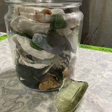 Nautical Tropical Seashells and Seaglass, Real, Collected In Bahamas 5-7lbs With