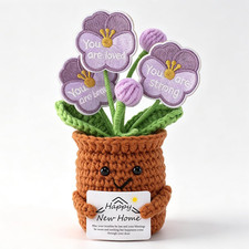 Handmade Crochet Potted Flower Happy New Home Gift Cute Desk Decor